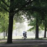 【自動詞】現在分詞と過去分詞の形容詞的用法、分詞形容詞