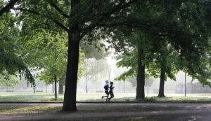 【自動詞】現在分詞と過去分詞の形容詞的用法、分詞形容詞