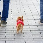 「when I went yesterday」はなぜ間違い?