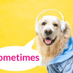 またまた副詞の位置問題【sometimes】を置く位置は?否定文や疑問文など