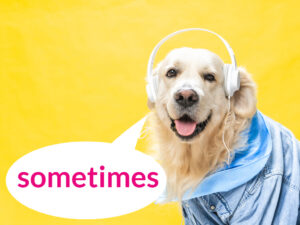 またまた副詞の位置問題【sometimes】を置く位置は?否定文や疑問文など