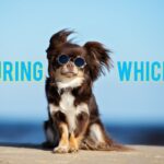 TOEICで出る!【during which】の意味と使い方・問題の解き方「during which time」との違い