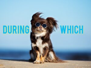 TOEICで出る！【during which】の意味と使い方・問題の解き方「during which time」との違い